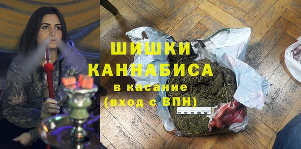 прущие грибы Володарск