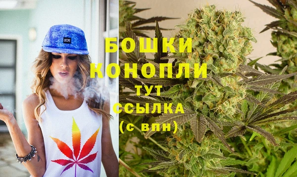 МДПВ Саяногорск