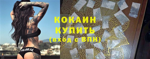 прущие грибы Володарск
