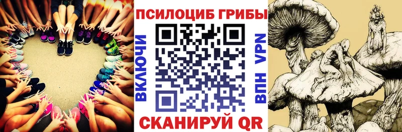 Галлюциногенные грибы Psilocybe  гидра tor  Камызяк  дарнет шоп 